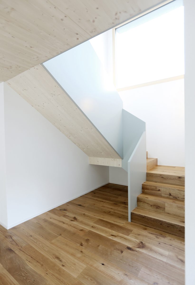 Neubau: Architekturprojekt 2019-2020